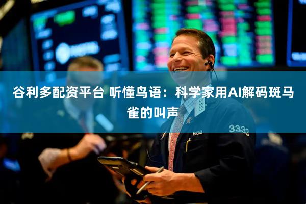 谷利多配资平台 听懂鸟语:科学家用AI解码斑马雀的叫声