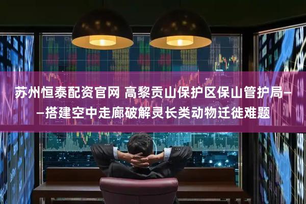 苏州恒泰配资官网 高黎贡山保护区保山管护局——搭建空中走廊破解灵长类动物迁徙难题