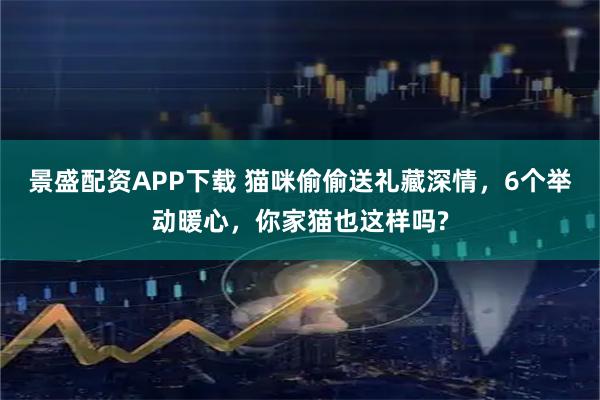 景盛配资APP下载 猫咪偷偷送礼藏深情，6个举动暖心，你家猫也这样吗?