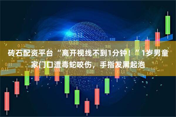 砖石配资平台 “离开视线不到1分钟！”1岁男童家门口遭毒蛇咬伤，手指发黑起泡