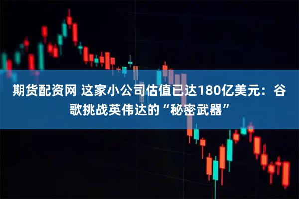 期货配资网 这家小公司估值已达180亿美元：谷歌挑战英伟达的“秘密武器”